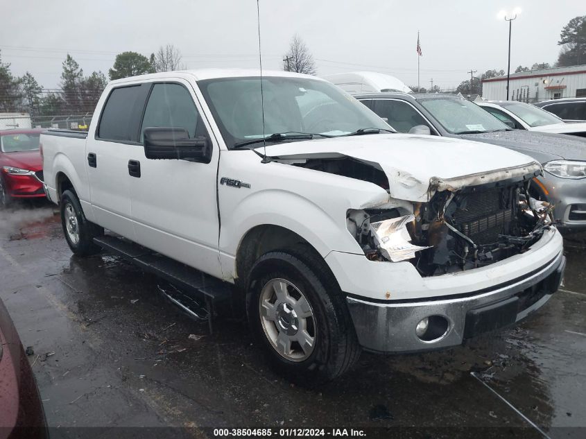 2013 FORD F-150 XLT - 1FTFW1CF2DKG21507