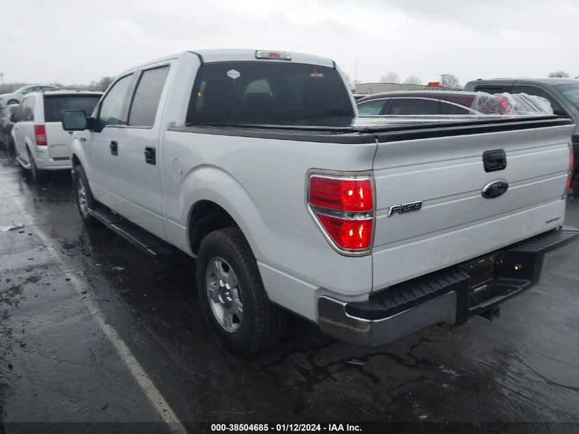 2013 FORD F-150 XLT - 1FTFW1CF2DKG21507