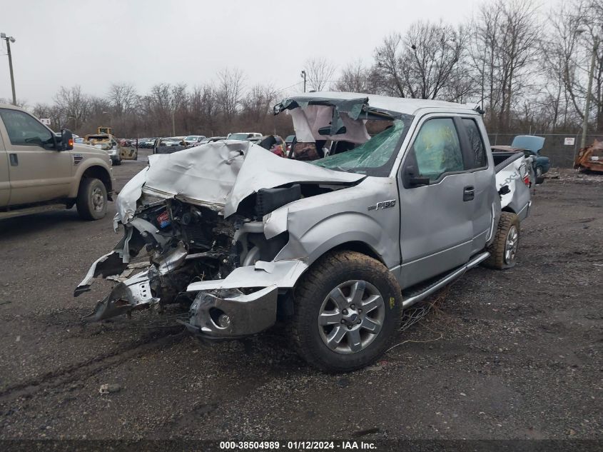 2013 FORD F-150 XLT - 1FTFX1EF2DFD01929