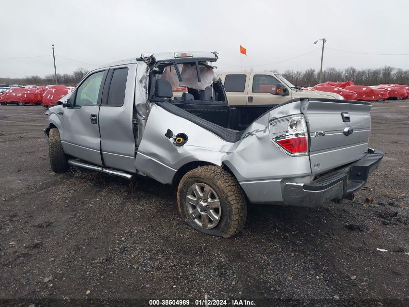 2013 FORD F-150 XLT - 1FTFX1EF2DFD01929