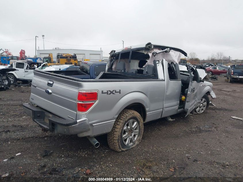 2013 FORD F-150 XLT - 1FTFX1EF2DFD01929