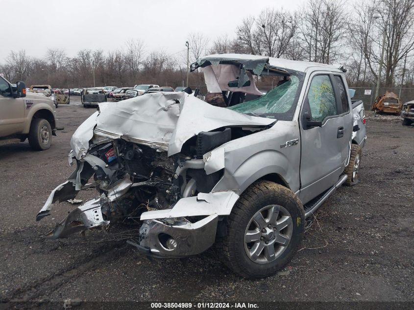 2013 FORD F-150 XLT - 1FTFX1EF2DFD01929