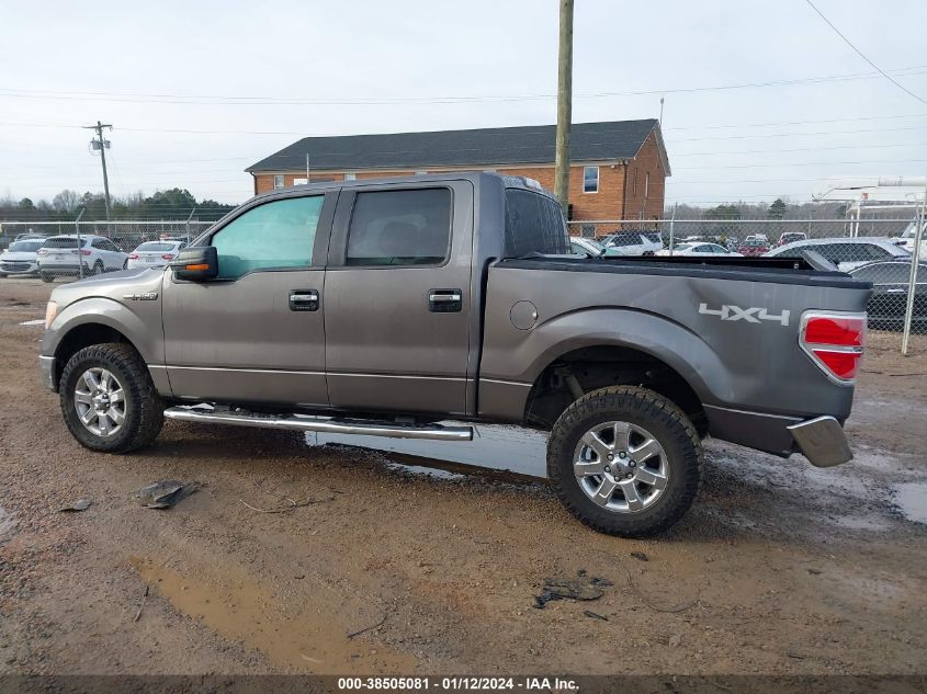 2013 FORD F-150 SUPERCREW - 1FTFW1EF1DFD99242