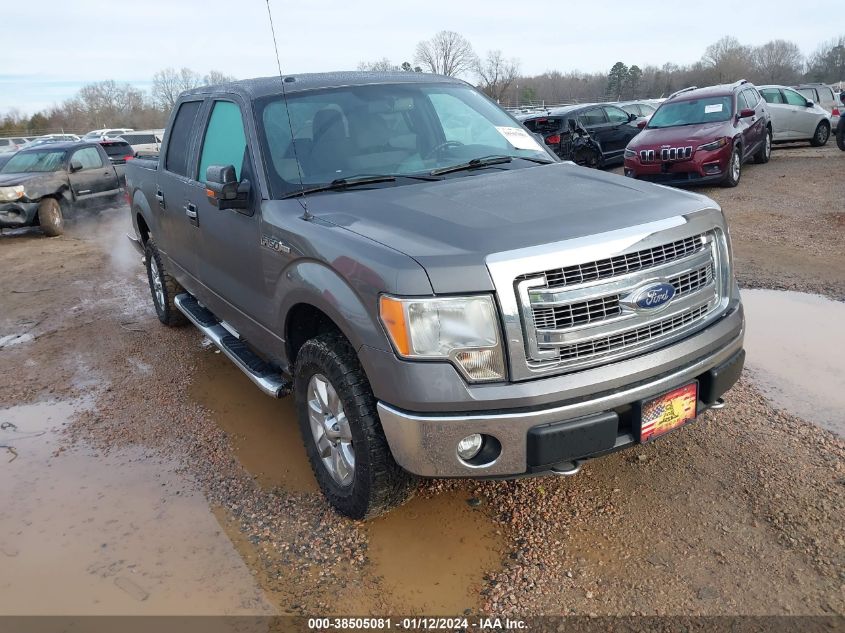 2013 FORD F-150 SUPERCREW - 1FTFW1EF1DFD99242