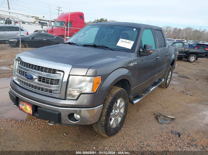 2013 FORD F-150 SUPERCREW - 1FTFW1EF1DFD99242