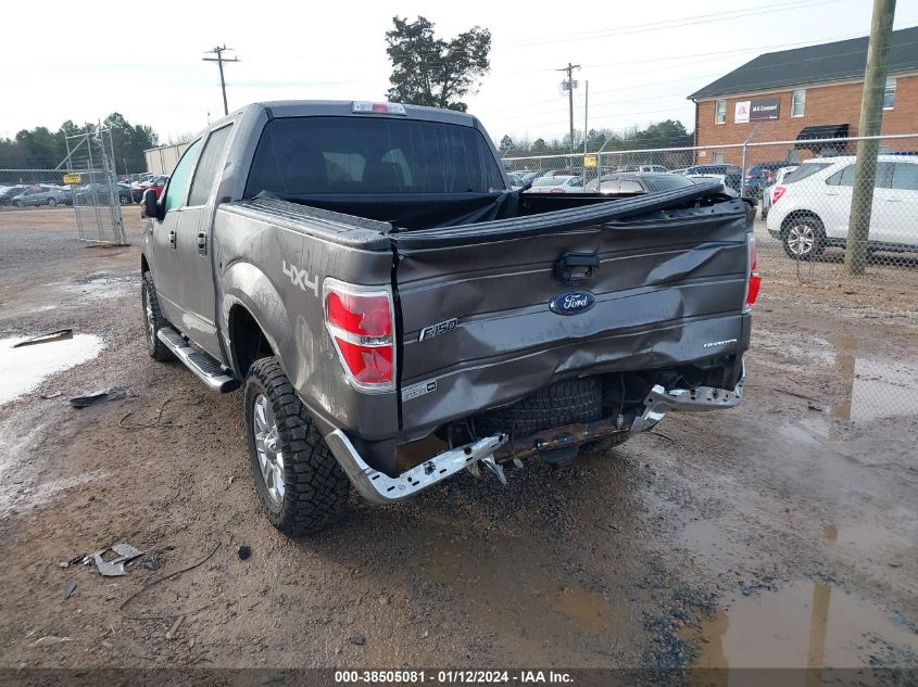 2013 FORD F-150 SUPERCREW - 1FTFW1EF1DFD99242