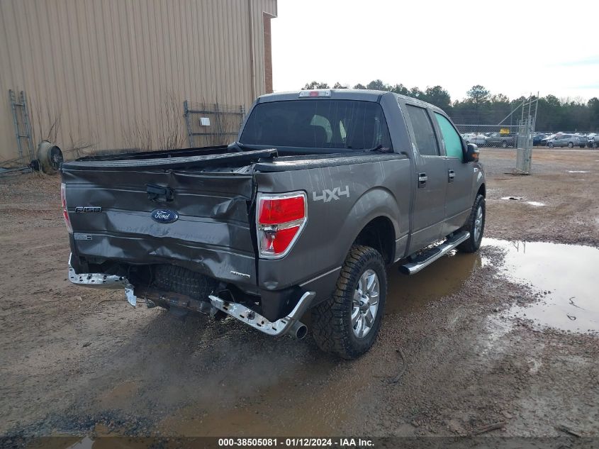 2013 FORD F-150 SUPERCREW - 1FTFW1EF1DFD99242