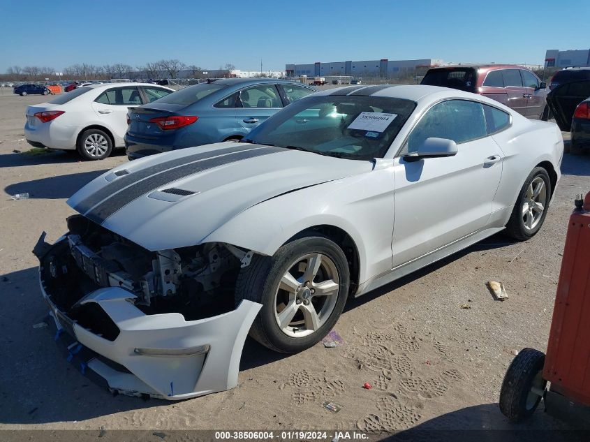 2019 FORD MUSTANG ECOBOOST - 1FA6P8TH0K5175253