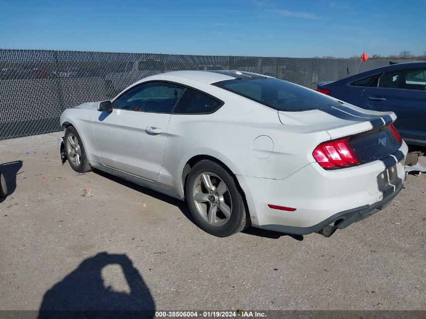 2019 FORD MUSTANG ECOBOOST - 1FA6P8TH0K5175253