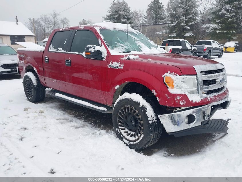 2014 FORD F-150 SUPERCREW - 1FTFW1EFXEFC16986