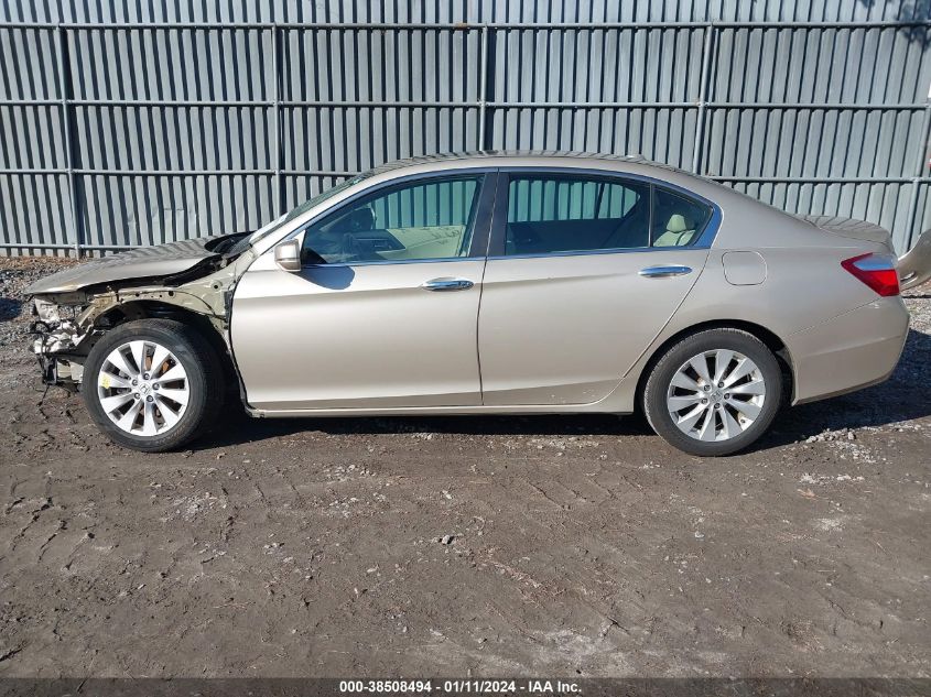 2014 HONDA ACCORD EX-L - 1HGCR2F80EA142105