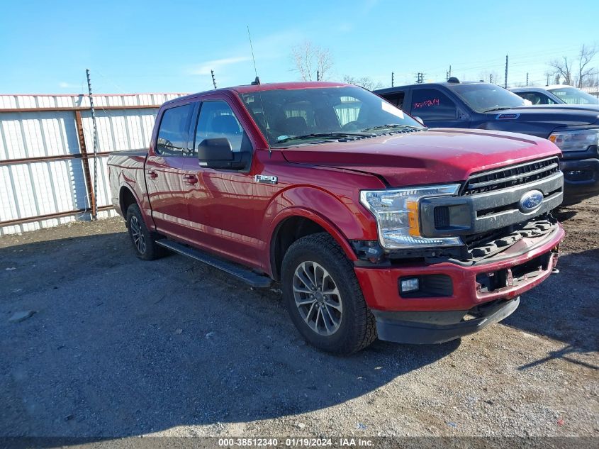 2019 FORD F-150 XLT - 1FTEW1EPXKKD96333