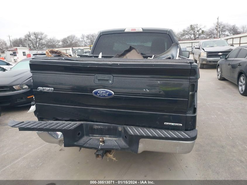 2013 FORD F-150 XLT - 1FTEW1CM7DFB31762