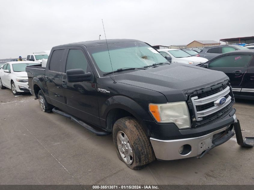 2013 FORD F-150 XLT - 1FTEW1CM7DFB31762