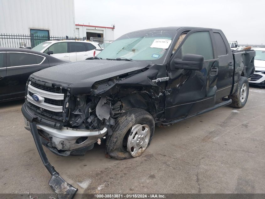 2013 FORD F-150 XLT - 1FTEW1CM7DFB31762