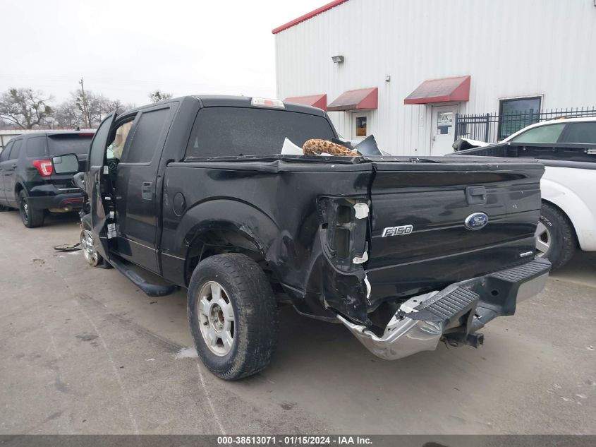 2013 FORD F-150 XLT - 1FTEW1CM7DFB31762