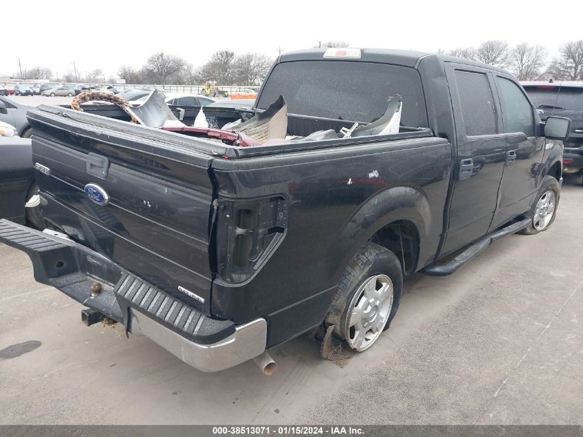 2013 FORD F-150 XLT - 1FTEW1CM7DFB31762