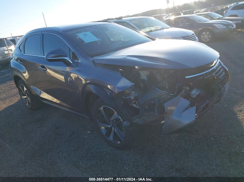 Lot #2539237728 2020 LEXUS NX 300 salvage car