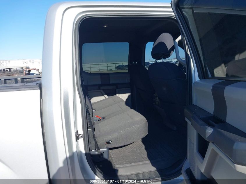 2019 FORD F-150 XL - 1FTEW1CP7KKD44516