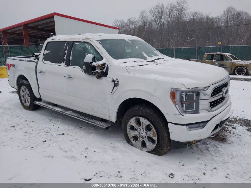 2023 FORD F-150 SUPERCREW - 1FTFW1E81PFC17853