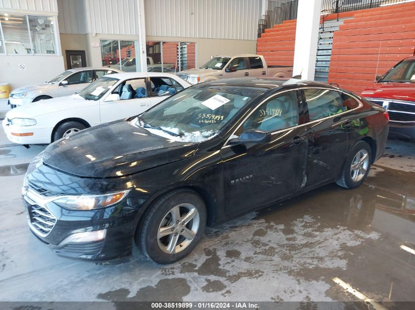 2019 CHEVROLET MALIBU 1FL - 1G1ZC5ST1KF210375