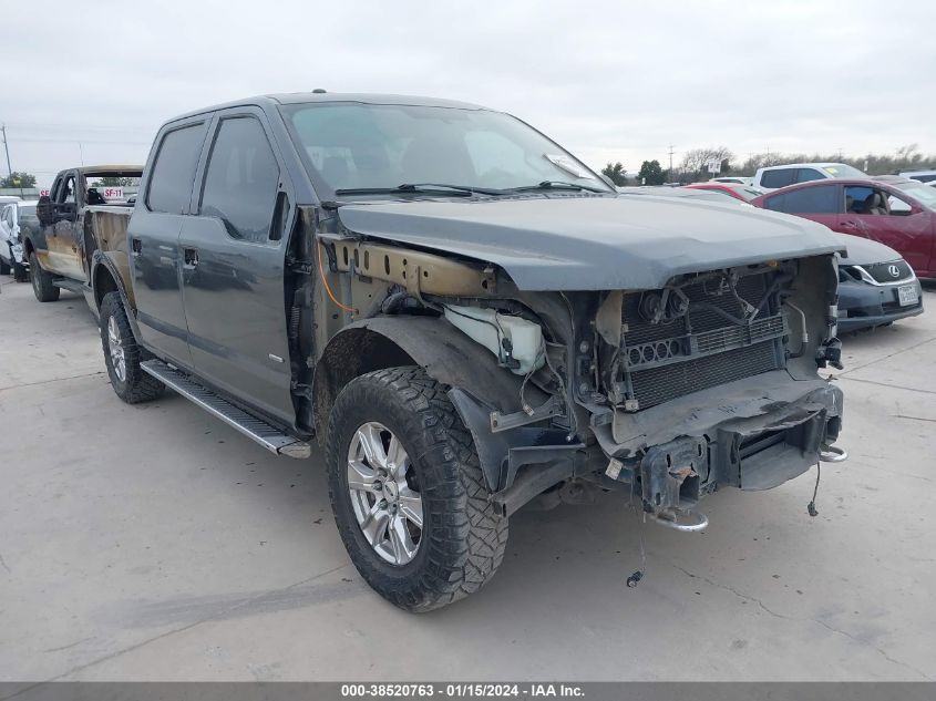 2015 FORD F-150 XLT - 1FTEW1EGXFKD26370