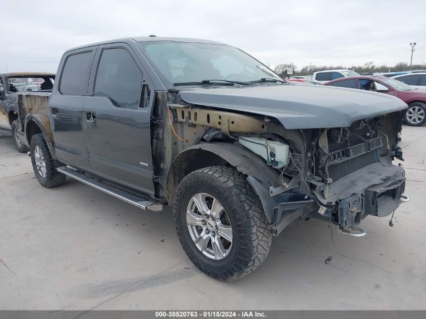 2015 FORD F-150 XLT - 1FTEW1EGXFKD26370