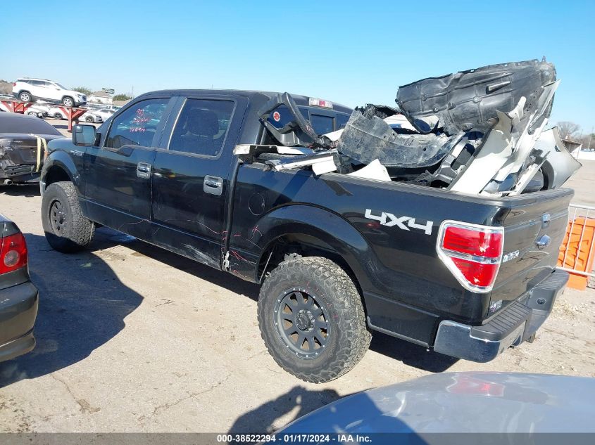 2013 FORD F-150 XLT - 1FTFW1EF2DKD59114