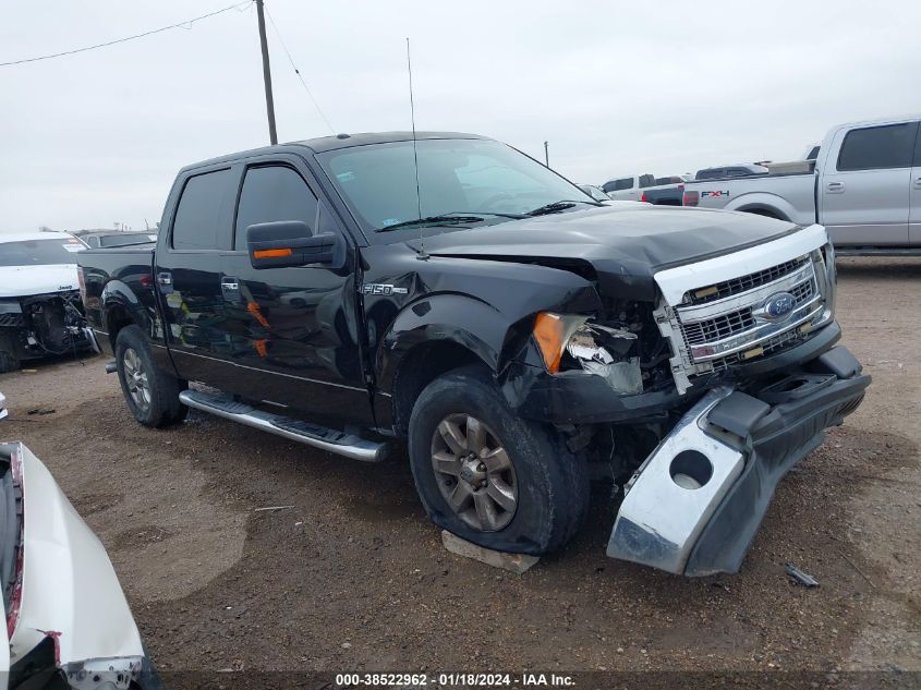 2013 FORD F-150 XLT - 1FTFW1CF5DKE65401
