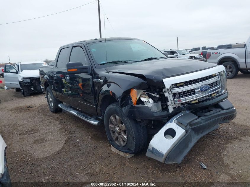 2013 FORD F-150 XLT - 1FTFW1CF5DKE65401