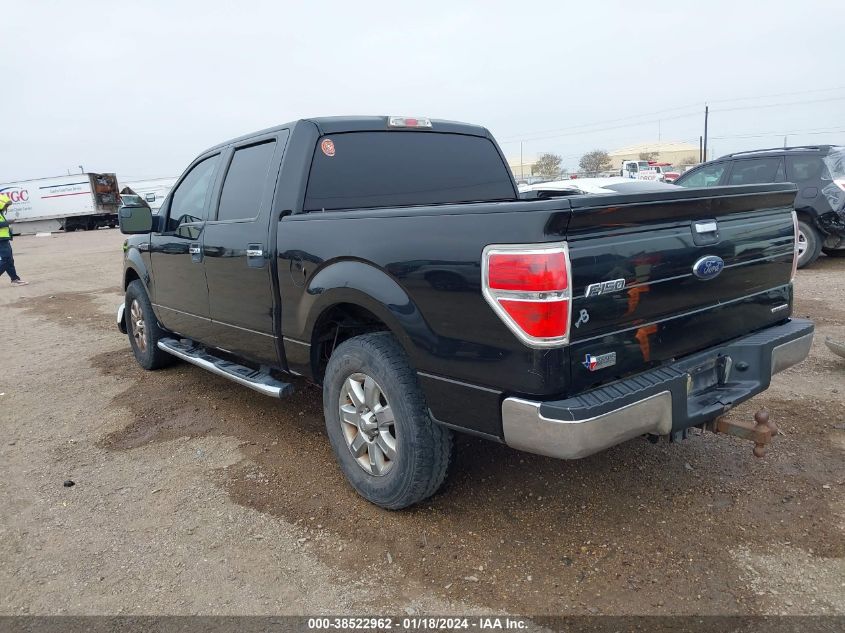 2013 FORD F-150 XLT - 1FTFW1CF5DKE65401