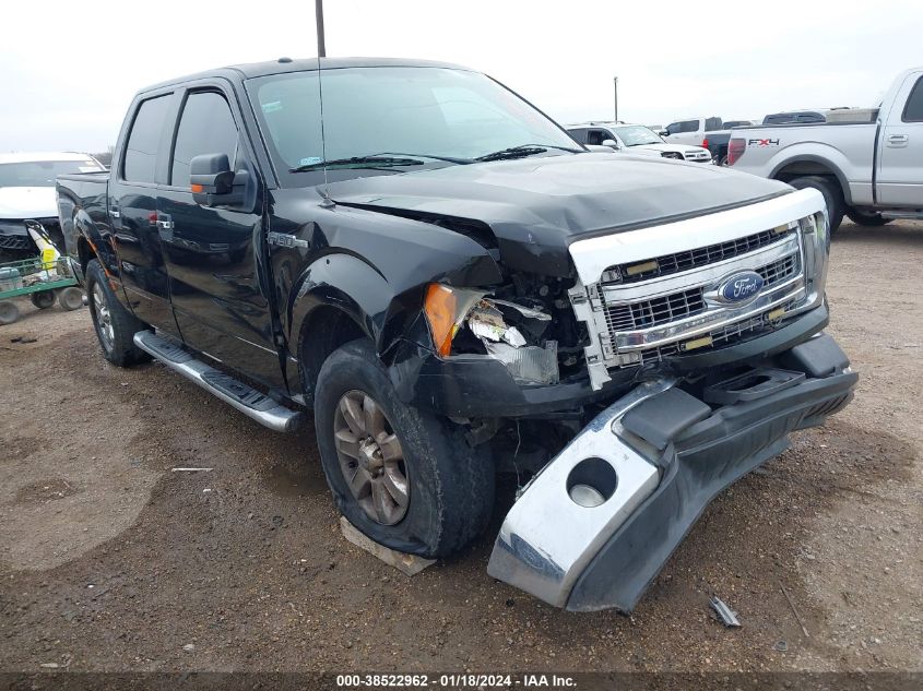 2013 FORD F-150 XLT - 1FTFW1CF5DKE65401