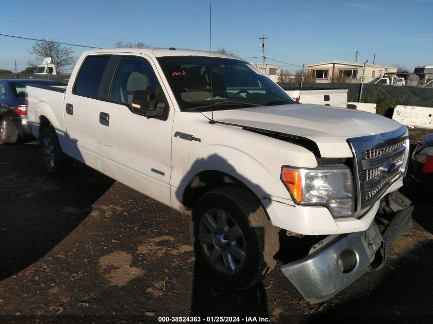 2013 FORD F-150 XLT - 1FTFW1CT2DFC92533