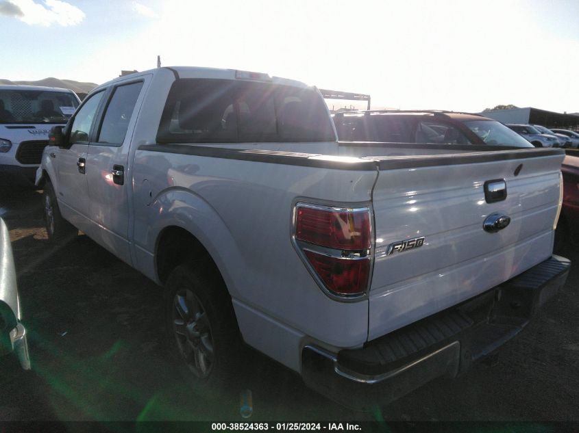 2013 FORD F-150 XLT - 1FTFW1CT2DFC92533