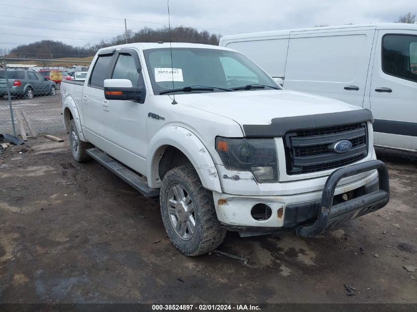 2013 FORD F-150 FX4 - 1FTFW1EFXDFD46961