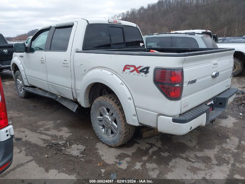 2013 FORD F-150 FX4 - 1FTFW1EFXDFD46961