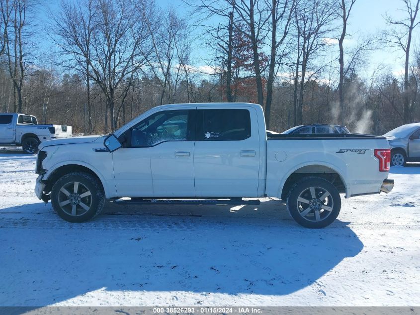 2015 FORD F-150 XLT - 1FTEW1EF6FFA31699