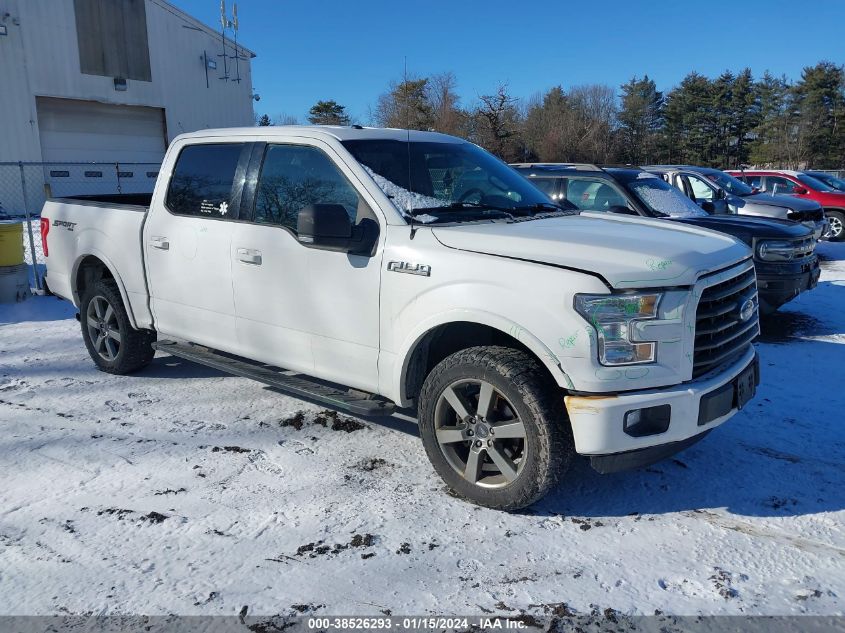 2015 FORD F-150 XLT - 1FTEW1EF6FFA31699