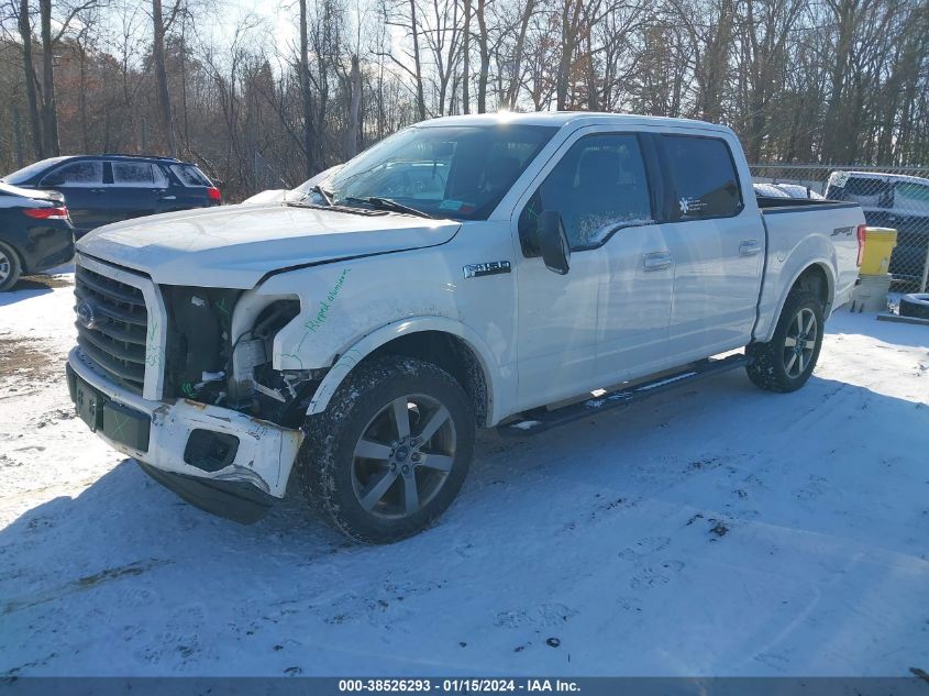 2015 FORD F-150 XLT - 1FTEW1EF6FFA31699