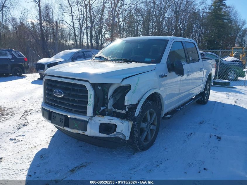2015 FORD F-150 XLT - 1FTEW1EF6FFA31699