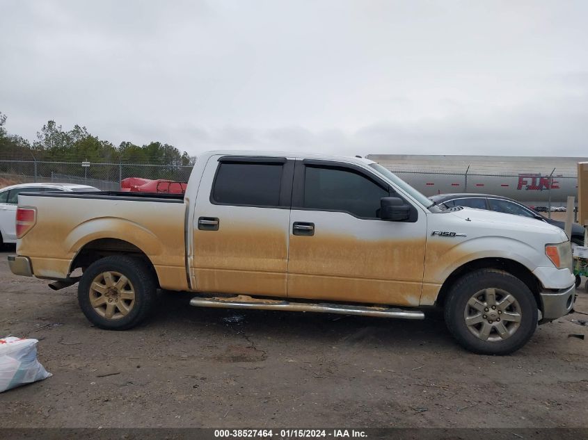 2013 FORD F-150 XLT - 1FTEW1CM9DKF35234