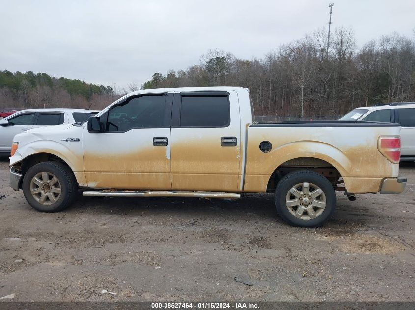 2013 FORD F-150 XLT - 1FTEW1CM9DKF35234