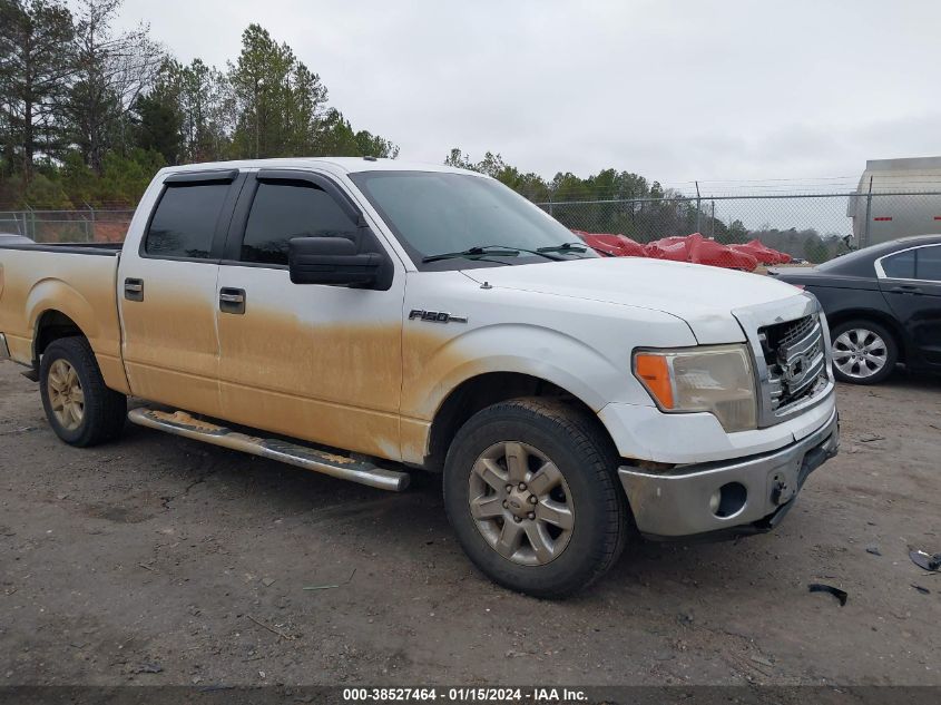 2013 FORD F-150 XLT - 1FTEW1CM9DKF35234