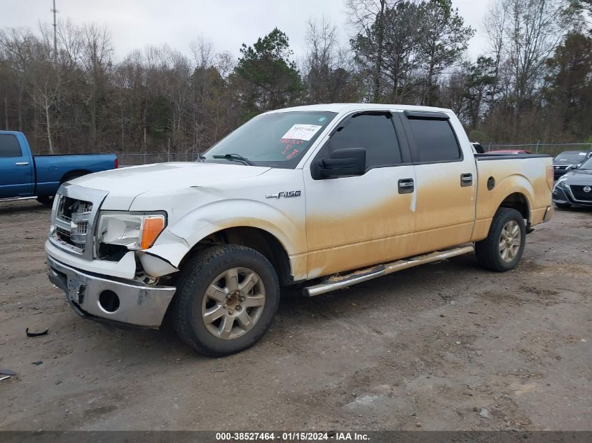 2013 FORD F-150 XLT - 1FTEW1CM9DKF35234