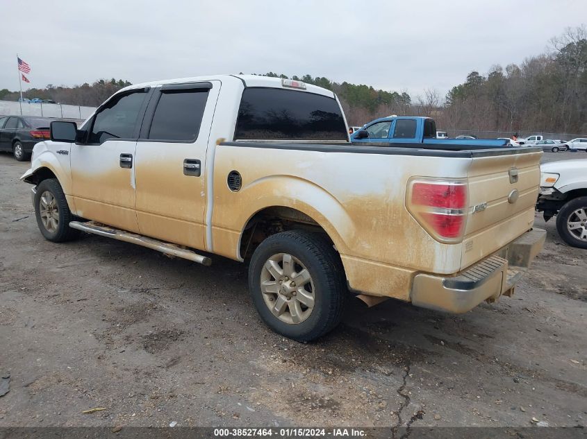 2013 FORD F-150 XLT - 1FTEW1CM9DKF35234