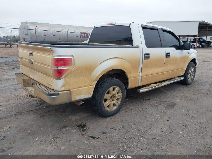 2013 FORD F-150 XLT - 1FTEW1CM9DKF35234