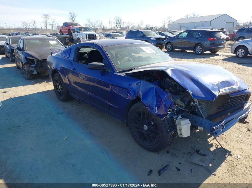 2014 FORD MUSTANG V6 - 1ZVBP8AM0E5249491