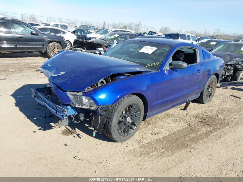 2014 FORD MUSTANG V6 - 1ZVBP8AM0E5249491