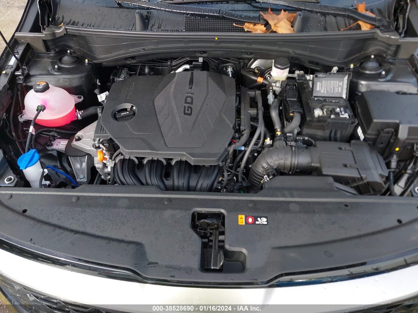 VIN 5XYK33DF2RG166382 2024 KIA SPORTAGE EX