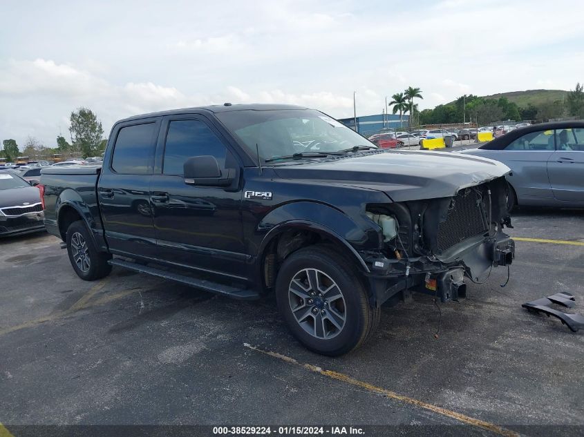 2015 FORD F-150 XLT - 1FTEW1CF9FFB46025